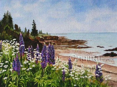 Lupins and Lace, Maces Bay,NB